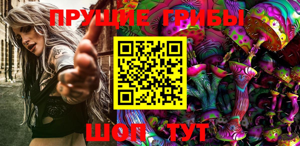 Псилоцибиновые грибы мухоморы  где купить наркоту  Орёл  Вход с VPN 
