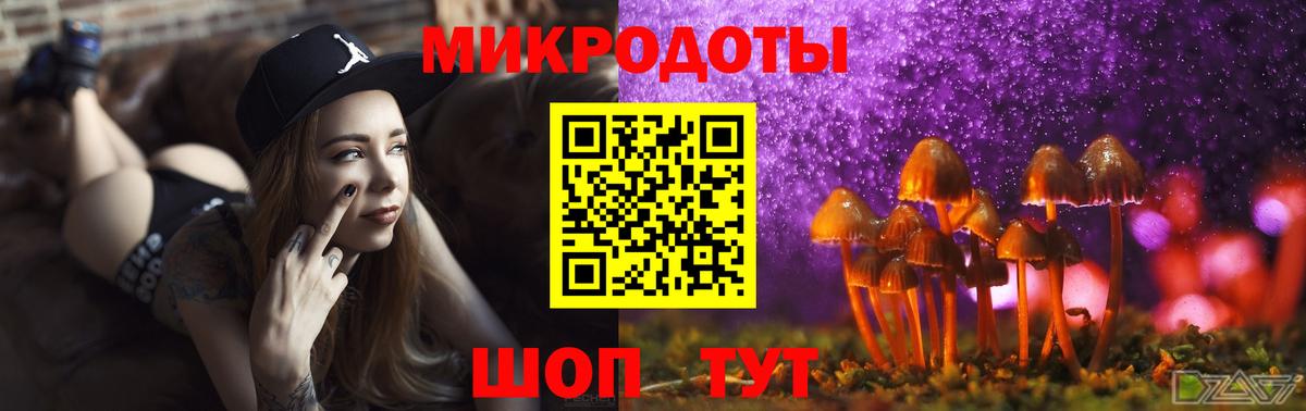 Псилоцибиновые грибы мицелий Орёл
